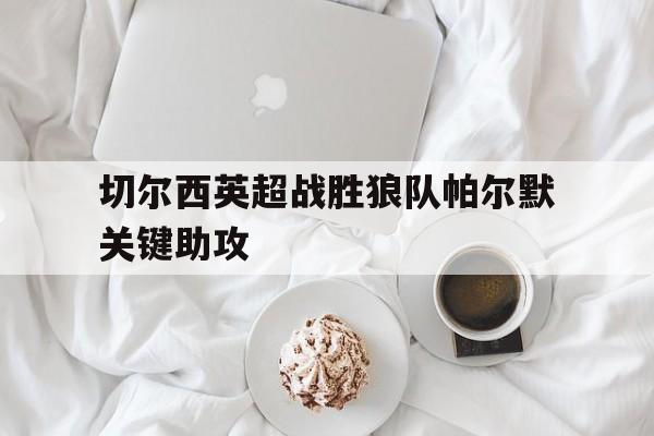 华体会_科尔帕尔默个人资料